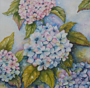 /uploads/91/64/9164fd1a66dfd071e3fa39996cc7b737/thumb-Hortensia.jpg